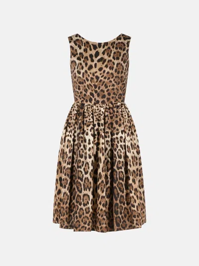 Dolce & Gabbana Leopard Print Cotton Dress In Animal Print