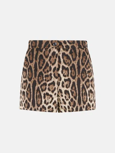 Dolce & Gabbana Leopard Print Cotton Shorts In Brown
