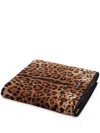 Dolce & Gabbana Leopard-print Cotton Towel In Brown