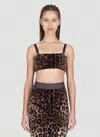 Dolce & Gabbana Cropped Leopard-jacquard Cotton-blend Chenille Top In Brown