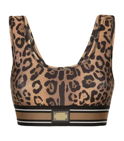 Dolce & Gabbana Leopard Print Crop Top In Multi