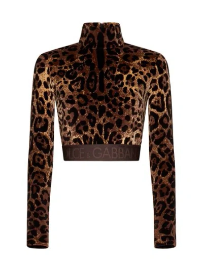 Dolce & Gabbana Leopard Print Crop Top With Elastic Logo Band For Women In Brown