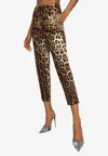 Dolce & Gabbana Leopard-print Cropped Trousers In Brown
