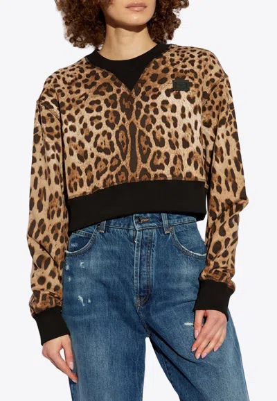 Dolce & Gabbana Leopard Print Cropped Sweatshirt In Animal Print
