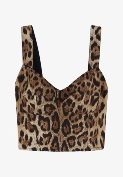 Dolce & Gabbana Leopard Print Cropped Top In Animal Print