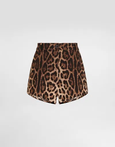 Dolce & Gabbana Leopard-print Double Crêpe Shorts In Animal Print