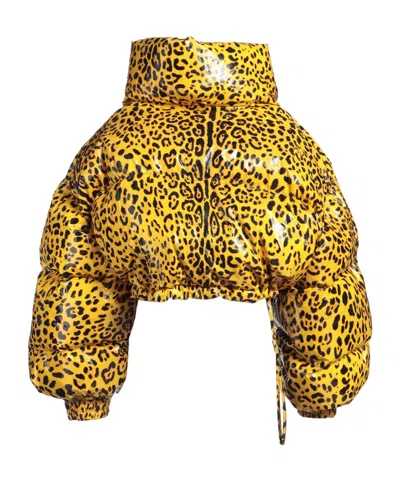 Dolce & Gabbana Leopard Print Down Jacket In Yellow