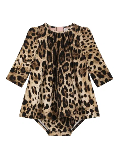 Dolce & Gabbana Babies' Leopard-print Dress In Brown
