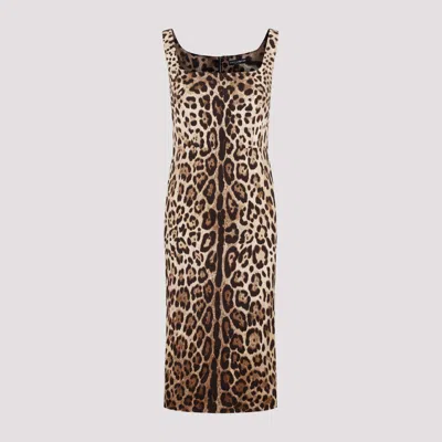 Dolce & Gabbana Leopard Print Dress In Nude & Neutrals