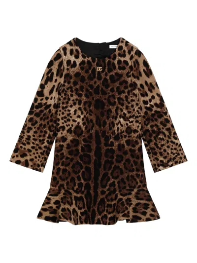 Dolce & Gabbana Leopard-print Flared Dress In Animal Print