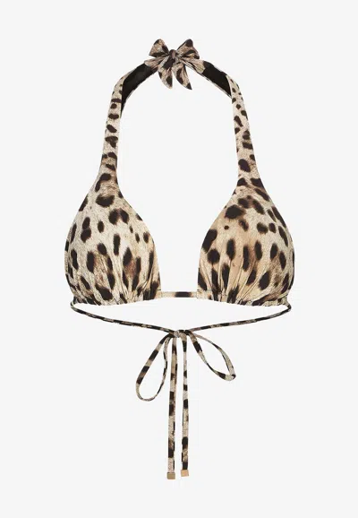 Dolce & Gabbana Leopard Print Halterneck Bikini Top In Neutral