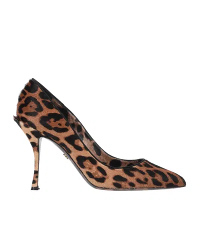 Dolce & Gabbana Leopard Print High Heels In Black