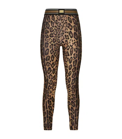 Dolce & Gabbana Leopard Print High-rise Leggings In Multi
