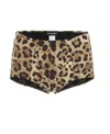 Dolce & Gabbana Leopard Print High-waisted Bikini Bottoms In Black