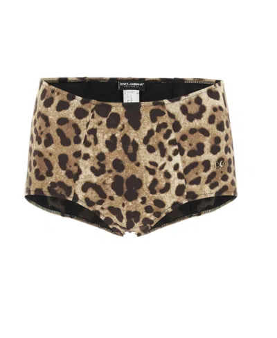 Dolce & Gabbana Leopard Print High-waisted Bikini Bottoms In Black