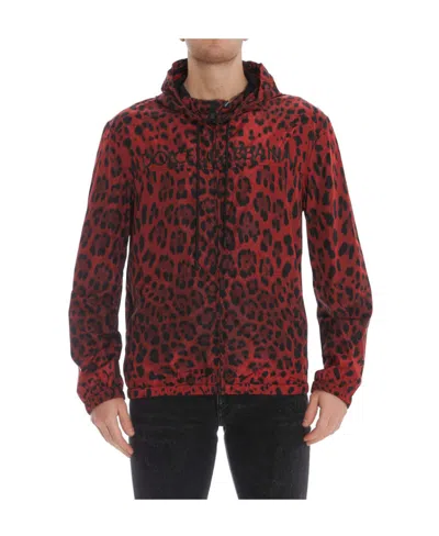 Dolce & Gabbana Leopard Print Hooded Jacket In Red