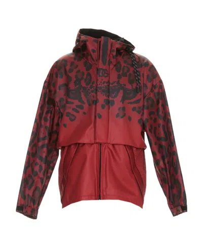 Dolce & Gabbana Leopard-print Hooded Jacket In Red