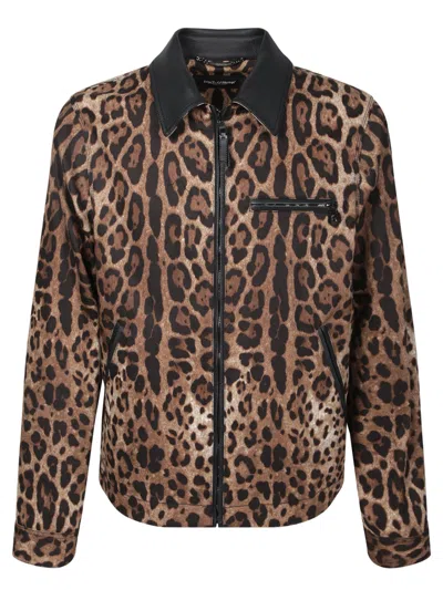 Dolce & Gabbana Leopard Print Jacket With Black Leather Collar In Multicolor