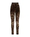Dolce & Gabbana Leopard-print Jacquard Leggings In Black