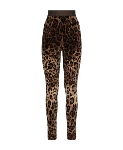Dolce & Gabbana Leopard-print Jacquard Leggings In Black