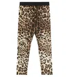 Dolce & Gabbana Leopard-print Leggings In Leo