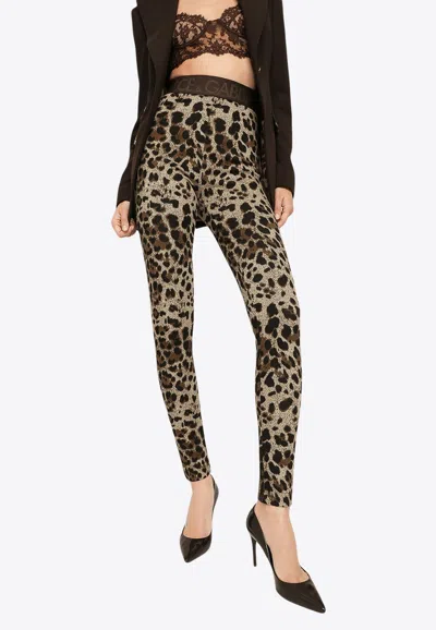 Dolce & Gabbana Leopard Print Jersey Leggings In Brown