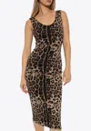 Dolce & Gabbana Leopard Print Jersey Midi Dress In Brown
