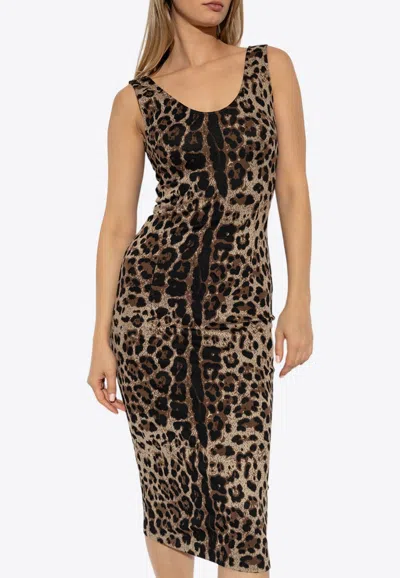 Dolce & Gabbana Leopard Print Jersey Midi Dress In Brown