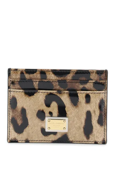 Dolce & Gabbana Leopard Print Leather Cardholder In Beige