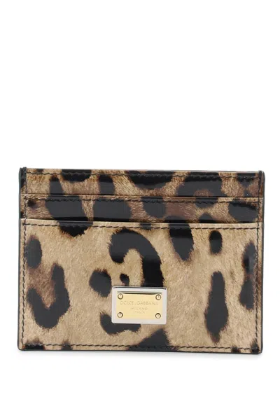 Dolce & Gabbana Leopard Print Leather Cardholder In Stampa Leo