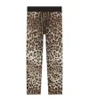Dolce & Gabbana Leopard-print Interlock Leggings