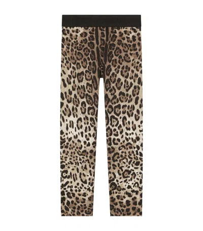 Dolce & Gabbana Kids' Leopard Print Leggings In Brown