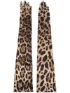 Dolce & Gabbana Guanti Lunghi Stampa Leopardo In Braun