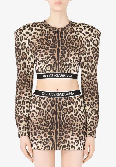 Dolce & Gabbana Leopard Print Long-sleeved Cropped Top In Brown