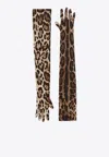 Dolce & Gabbana Leopard Print Long Stretch Gloves In Brown