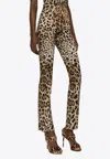 Dolce & Gabbana Leopard Print Marquisette Pants In Beige