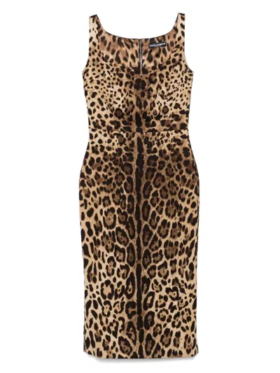 Pre-owned Dolce & Gabbana Leopard-print Midi Dress