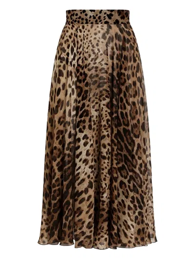 Dolce & Gabbana Leopard Print Chiffon Full Skirt In Brown