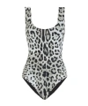 Dolce & Gabbana Leopard Print Olympic One-piece Swimsuit In Gray