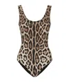 Dolce & Gabbana Leopard-print Open-back Swimsuit In Brown