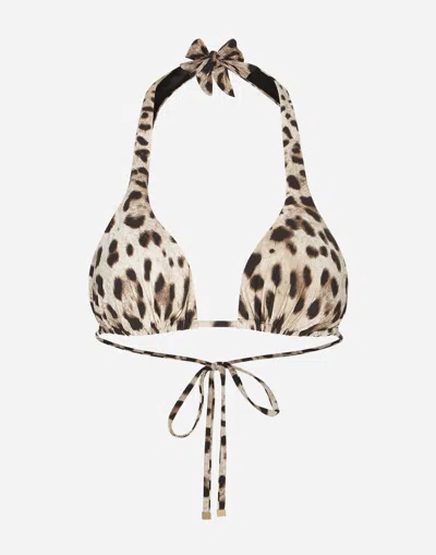 Dolce & Gabbana Animal Print Halter Bikini Top Bow Detail In Brown