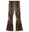Dolce & Gabbana Leopard-pattern Trousers In Animal Print