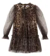 Dolce & Gabbana Leopard-print Ruffled Tulle Dress In Brown