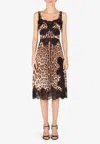 Dolce & Gabbana Leopard-print Satin Slip Dress In Brown