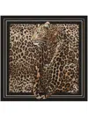 Dolce & Gabbana Leopard-print Scarf In Brown