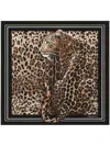Dolce & Gabbana Leopard-print Scarf In Brown