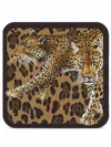 Dolce & Gabbana Leopard-print Set Of 12 Coasters In Brown