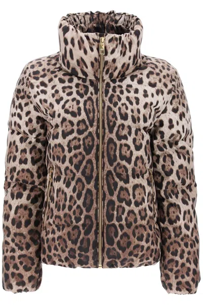 Dolce & Gabbana Leopard Print Short Puffer Jacket In Brown