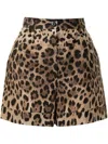 Dolce & Gabbana High Waist Leopard Stretch Drill Shorts In Brown