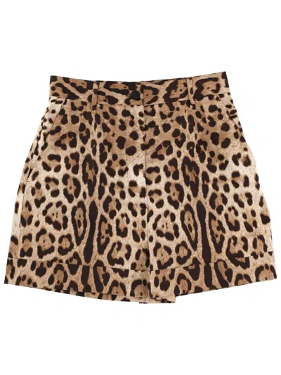 Dolce & Gabbana Mini Leopard Print Cotton Shorts In Brown